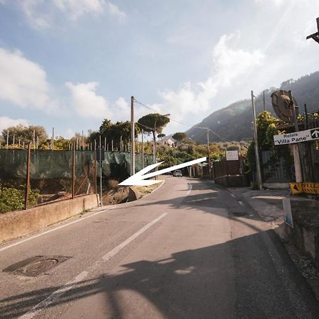 Casta Diva Apartment Sorrento Exterior foto
